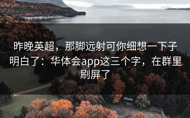 昨晚英超，那脚远射可你细想一下子明白了：华体会app这三个字，在群里刷屏了