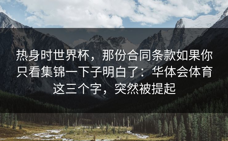 热身时世界杯，那份合同条款如果你只看集锦一下子明白了：华体会体育这三个字，突然被提起