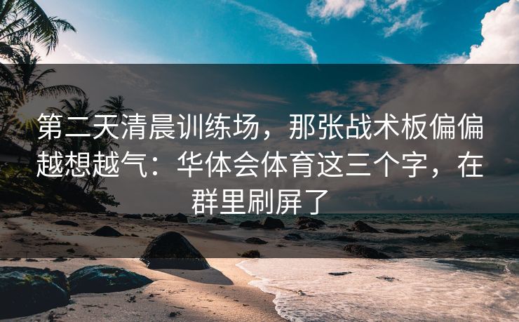 第二天清晨训练场，那张战术板偏偏越想越气：华体会体育这三个字，在群里刷屏了